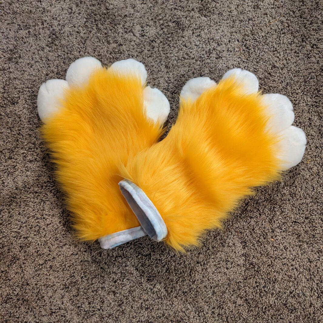 Fox paws