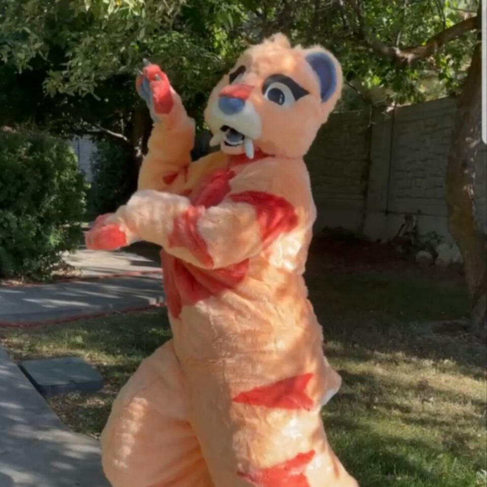Boone the sabretooth tiger Boone the sabretooth tiger