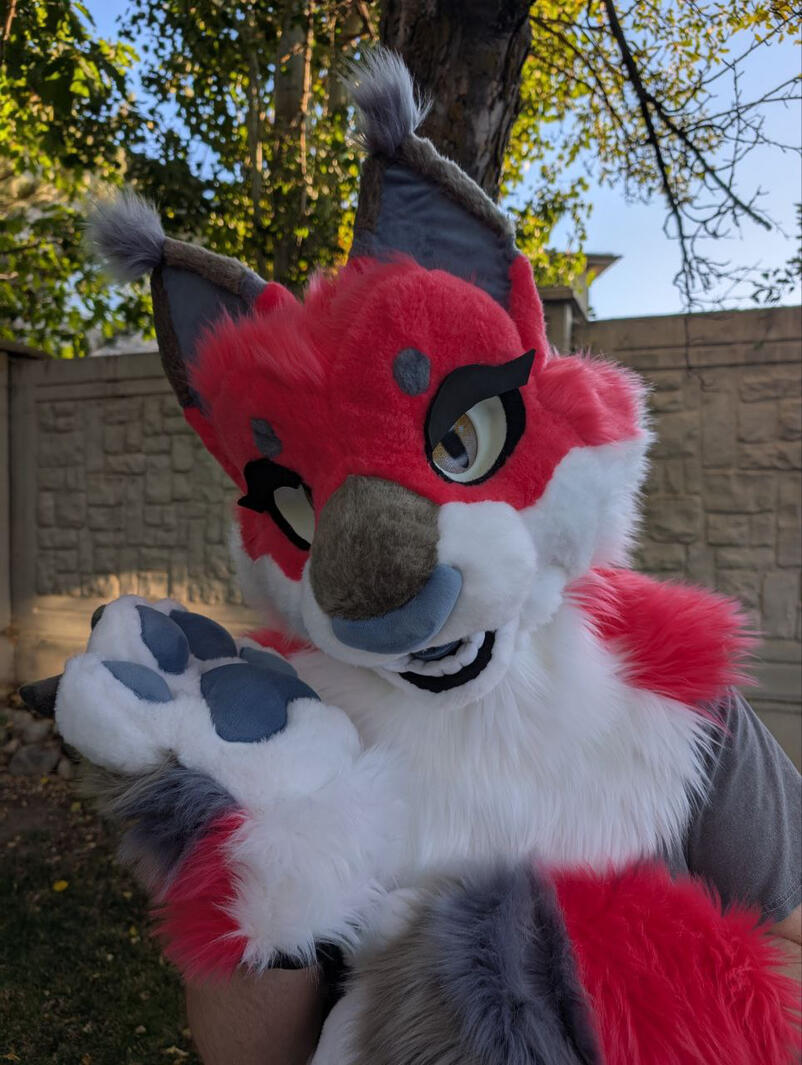 Lynx Premade with Eyelashes