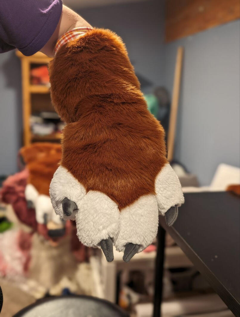 Hound paws back view