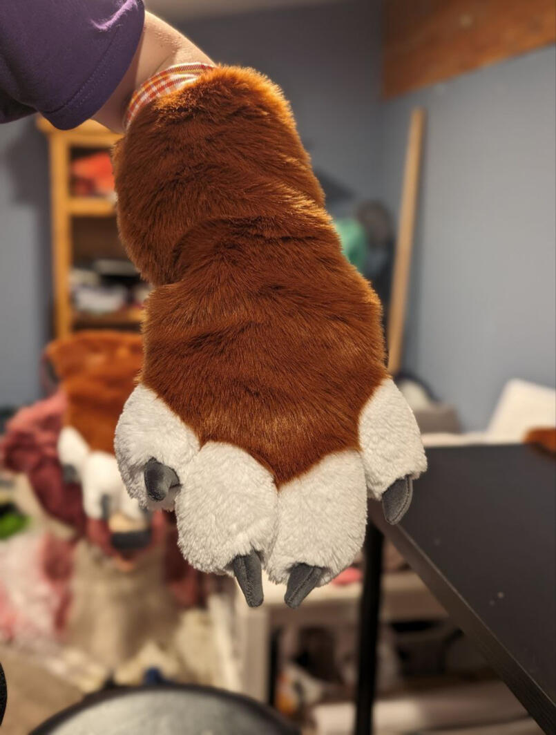 Hound paws back view Hound paws back view