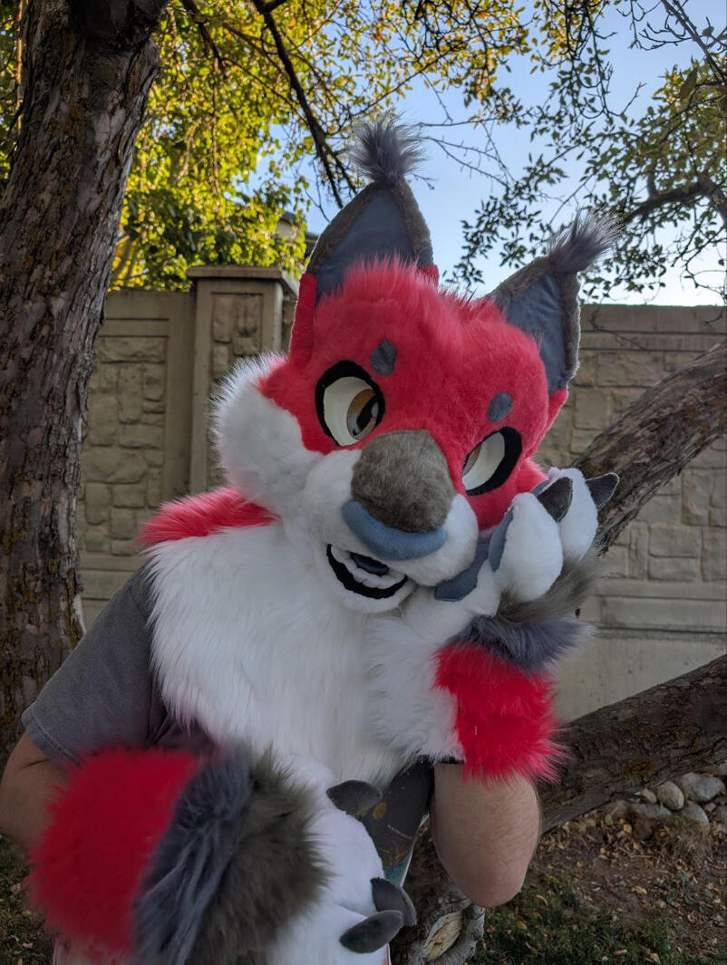 Lynx Premade no eyelashes